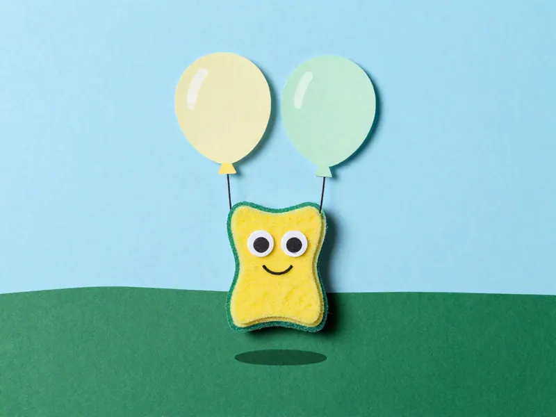 Dont Drop The Sponge cover art