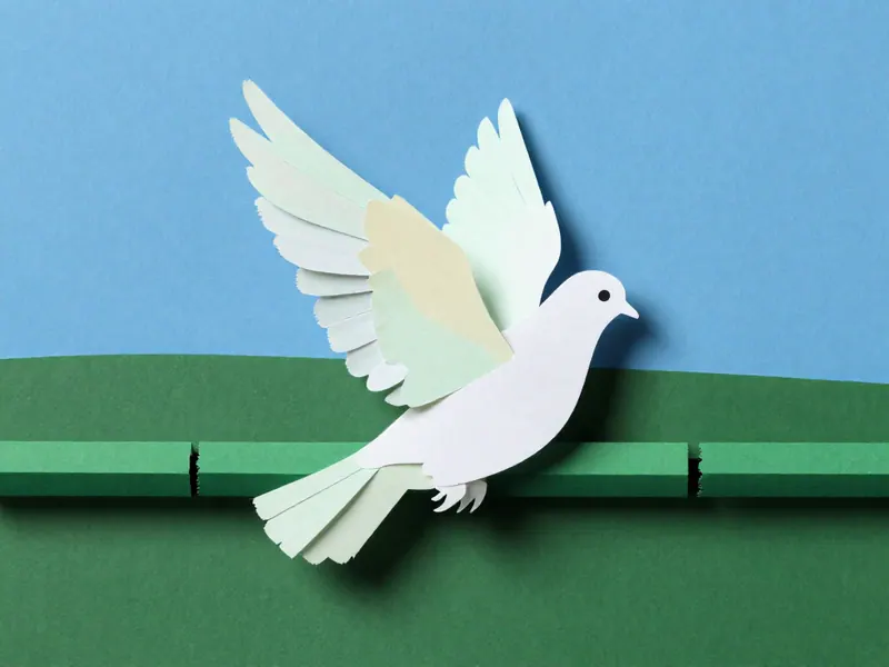 Flappy Dove cover art