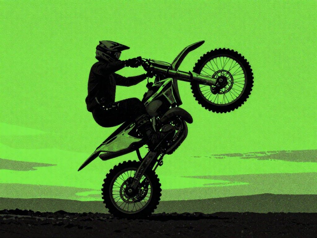 Bike Stunts 2024 cover art