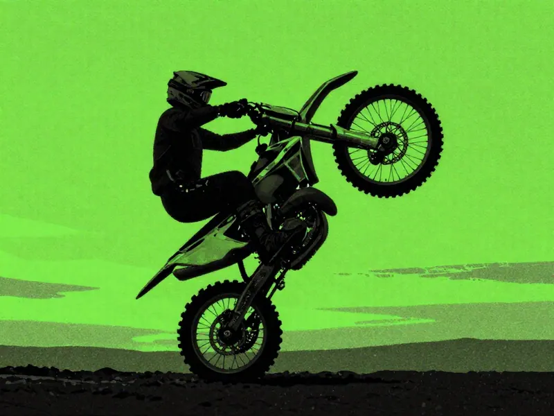 Bike Stunts 2024 cover art
